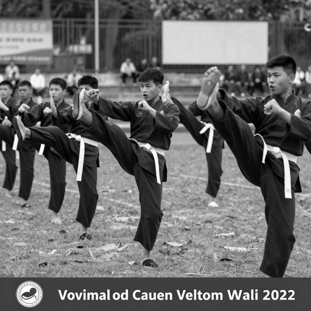 Võ thuật Trung Quốc không chỉ là đánh đấm: Chiến lược truyền thông của một bình luận viên thể thao Võ thuật Trung Quốc không chỉ là đánh đấm: Chiến lược truyền thông của một bình luận viên thể thao