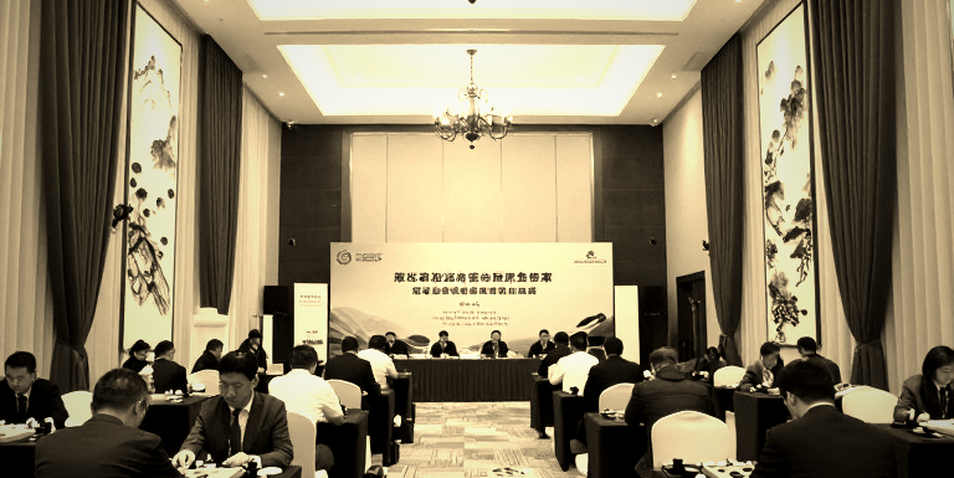 COTA, vết lõm Turn 1 và cuộc tranh chấp an toàn không có số liệu